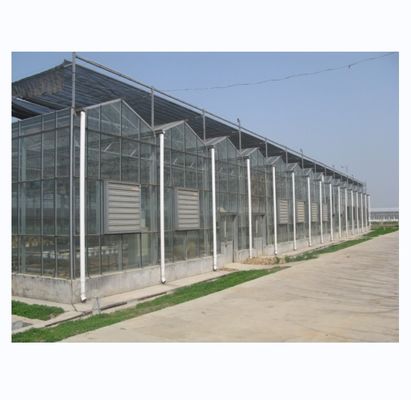 Μεγάλο γεωργικό θερμοκήπιο με γαλβανισμένο χάλυβα και προαιρετικό σύστημα ψύξης