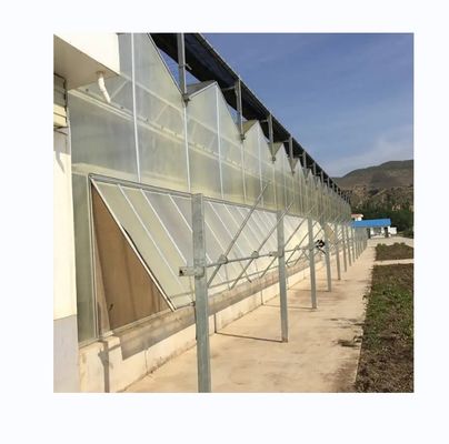 Φρούτα λαχανικά λουλούδια Πολλαπλές εκτάσεις Γεωργικά θερμοκήπια με υδροπονικά συστήματα