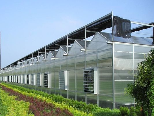 8m 9,6m 12m πλάτος πλάτος Γεωργικό θερμοκήπιο για υβριδικά σπόρα ντομάτας και λαχανικά