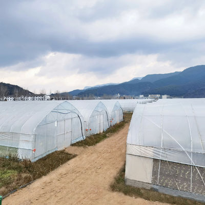 2.5-5M ύψος ντομάτα υδροπονική υψηλή σήραγγα Γεωργία θερμοκήπιο με κάλυψη με φιλμ