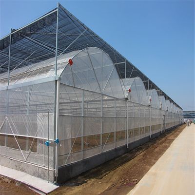 4.0-8.0M Υψόμετρος Γεωργία Πολλαπλής διάστασης Φιλμικό θερμοκήπιο πλαστικής για τομάτα Σχέδιο κλειδί-γυρίζοντας