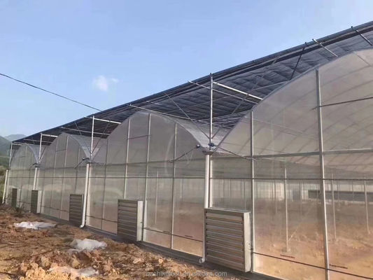 4.0-8.0M Υψόμετρος Γεωργία Πολλαπλής διάστασης Φιλμικό θερμοκήπιο πλαστικής για τομάτα Σχέδιο κλειδί-γυρίζοντας