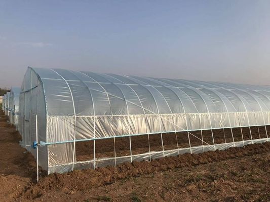 2.5-5M ύψος ντομάτα υδροπονική υψηλή σήραγγα Γεωργία θερμοκήπιο με κάλυψη με φιλμ