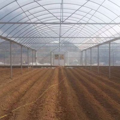 4.0-8.0M Υψόμετρος Γεωργία Πολλαπλής διάστασης Φιλμικό θερμοκήπιο πλαστικής για τομάτα Σχέδιο κλειδί-γυρίζοντας