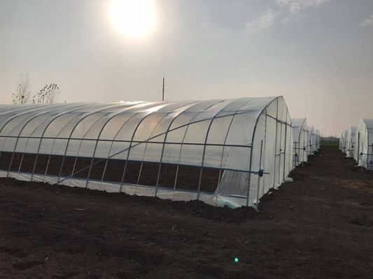 2.5-5M ύψος ντομάτα υδροπονική υψηλή σήραγγα Γεωργία θερμοκήπιο με κάλυψη με φιλμ
