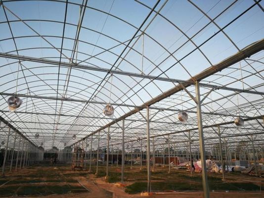 4.0-8.0M Υψόμετρος Γεωργία Πολλαπλής διάστασης Φιλμικό θερμοκήπιο πλαστικής για τομάτα Σχέδιο κλειδί-γυρίζοντας