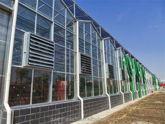 Μεγάλο θερμοκήπιο γυαλιού Venlo ιδανική λύση για την καλλιέργεια λαχανικών