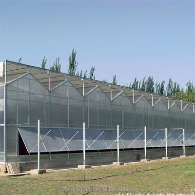 Εμπορικό γεωργικό θερμοκήπιο με υδροπονικό σύστημα και κάλυψη φύλλου PC 8 mm