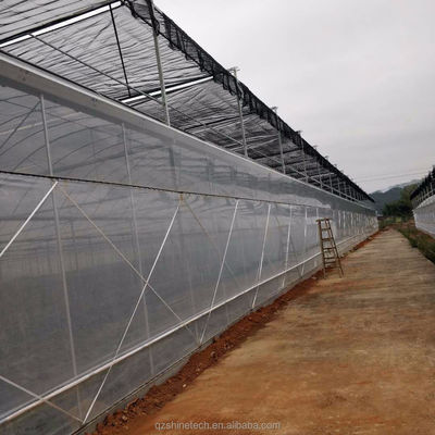 Εύκολη συναρμολόγηση Τομάτας Γεωργικό Κιτ Φρέμα θερμοκήπιο με υπερ-ισχυρή αντοχή