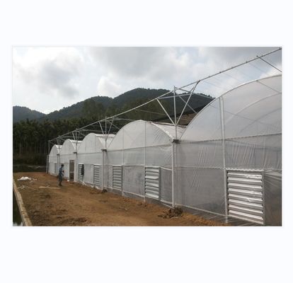 150/200 Μικροκαλυπτικό θερμοκήπιο PE Multi Span Film για την καλλιέργεια ντομάτας στη γεωργία