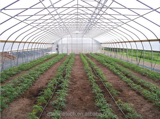 150/200micro Φύλλα υψηλής σήραγγας Γεωργικό θερμοκήπιο για υδροπονική καλλιέργεια ντομάτας
