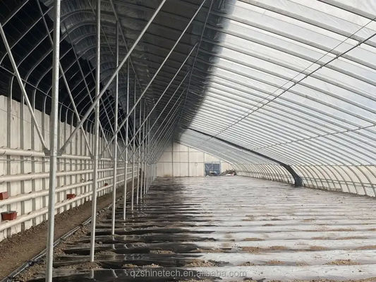 Ηλιακό θερμοκήπιο 50-120m μήκος με διπλή αψίδα γαλβανισμένη δομή χάλυβα