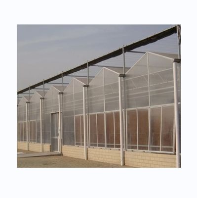 8mm PC Sheet Multi Span Γεωργικά θερμοκήπια για βιώσιμη γεωργία