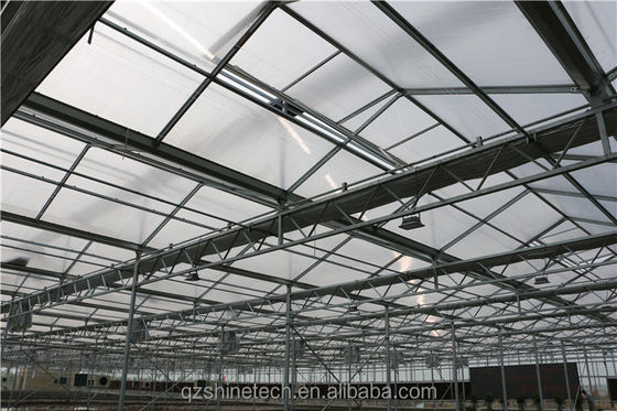 8mm PC Sheet Multi Span Γεωργικά θερμοκήπια για βιώσιμη γεωργία