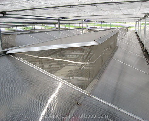8mm PC Sheet Multi Span Γεωργικά θερμοκήπια για βιώσιμη γεωργία