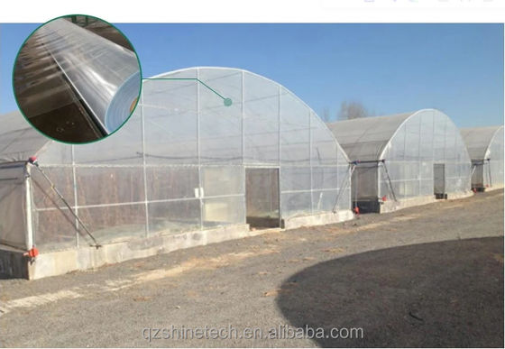 Φωτογραφική κάλυψη 50x8m Γεωργικό θερμοκήπιο με σήραγγα μονοδιάστατου τύπου με ύψος 3,5-5m