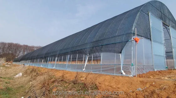 Φωτογραφική κάλυψη 50x8m Γεωργικό θερμοκήπιο με σήραγγα μονοδιάστατου τύπου με ύψος 3,5-5m