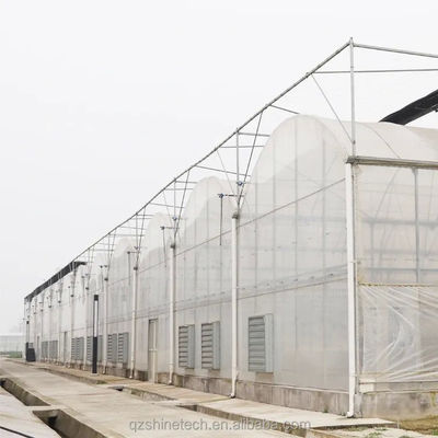 Βέλτιστη άρδευση Γεωργικό Πολυδιάστατο πλαστικό θερμοκήπιο για μονοστρώσεις καλλιέργειες