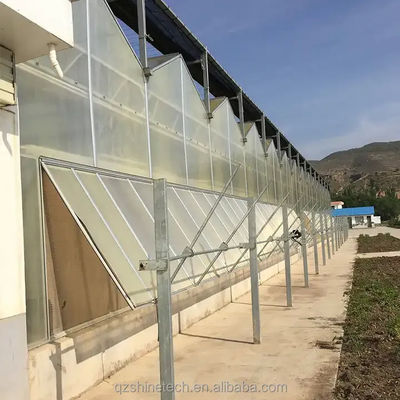 Καλλιέργεια ντομάτας Γεωργία θερμοκήπια Κατασκευαστές σε στυλ Venlo με κάλυψη φύλλου PC