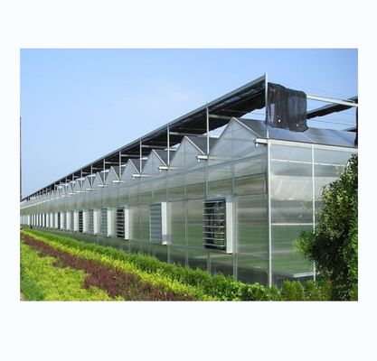 Υλικό κάλυψης γεωργικών θερμοκηπίων 4m πλάτος κόλπου Πολλαπλής διάστασης Υπερ-ισχυρή αντοχή