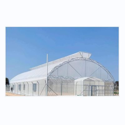 Σχεδίαση Shine Tech Single Span Tunnel Γεωργικά θερμοκήπια