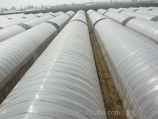 Σχεδίαση Shine Tech Single Span Tunnel Γεωργικά θερμοκήπια