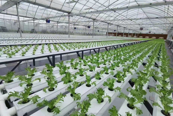 Υδροπονικό σύστημα καλλιέργειας 100 * 50mm NFT PVC σωλήνα κάθετη γεωργία με λευκά αξεσουάρ