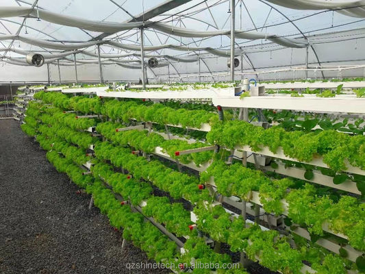 Υδροπονικό σύστημα καλλιέργειας 100 * 50mm NFT PVC σωλήνα κάθετη γεωργία με λευκά αξεσουάρ