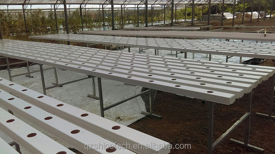 Οριζόντιος τύπος PVC NFT κανάλι για προσαρμοσμένο μέγεθος υδροπονικής καλλιέργειας φυλλωδών λαχανικών