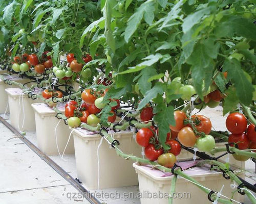 30*25*23cm Dutch Bucket Complete Hydroponic Growing System για τομάτα Αγγούρι Πεπίρι