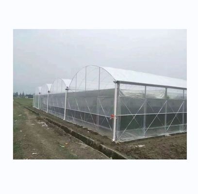 150/200 μικρών πλαστική ταινία πολυδιάστατο θερμοκήπιο για την καλλιέργεια λαχανικών και λουλουδιών