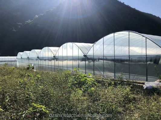 Shine Tech Πολλαπλής Επεκτάσεως Πλαστικό Φιλμικό θερμοκήπιο για την Καλλιέργεια Τομάτας και Φράουλας