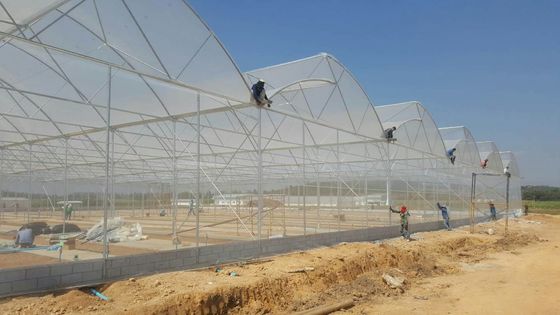 Μεγάλο θερμοκήπιο με πριονιστικό δόντι