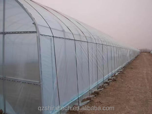 Φωτογραφία θερμοκηπίου 200m 250m 300m μήκος Γεωργικό θερμοκηπίο