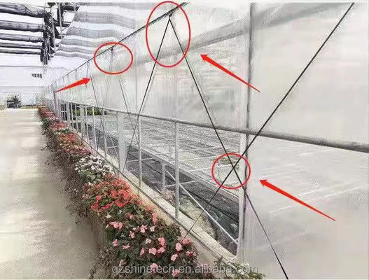 Φωτογραφία θερμοκηπίου 200m 250m 300m μήκος Γεωργικό θερμοκηπίο