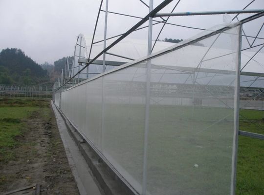 30-150G Δίκτυο σκιάς θερμοκηπίου HDPE προστασία από την υπεριώδη ακτινοβολία και προστασία από έντομα για την καταπολέμηση των παρασίτων